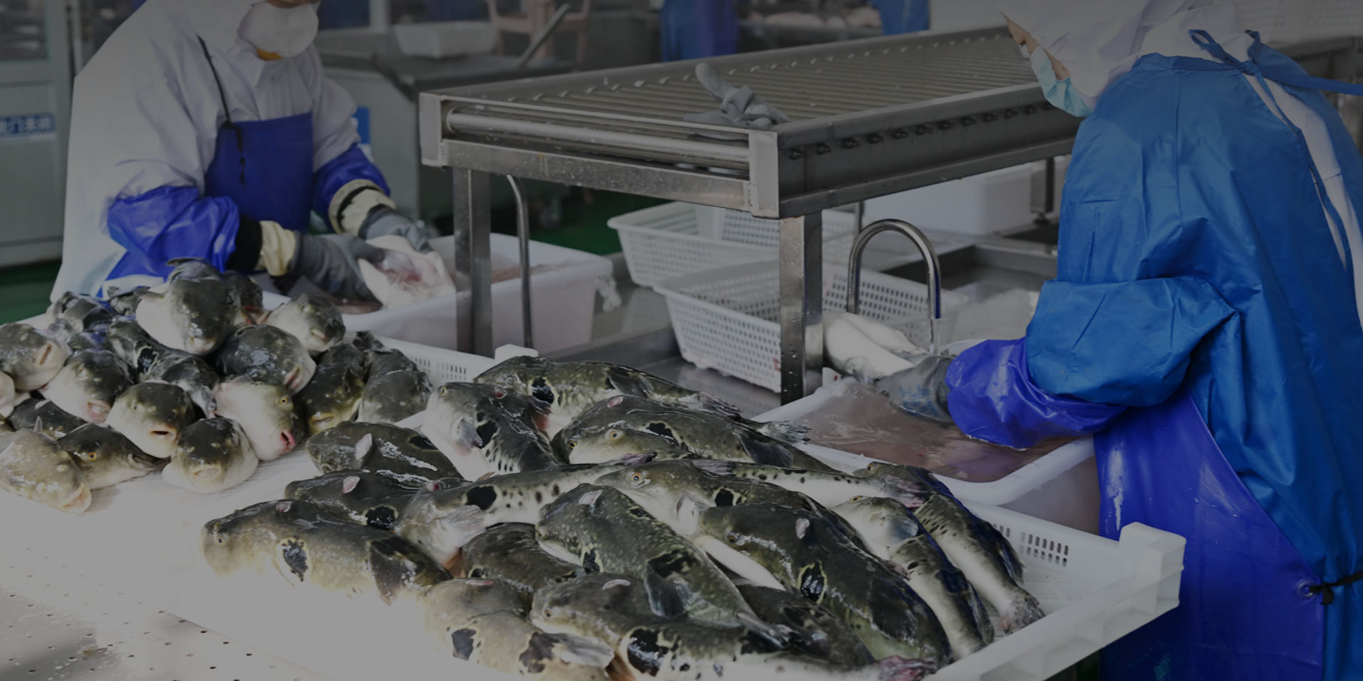 水產(chǎn)行業(yè)解決方案