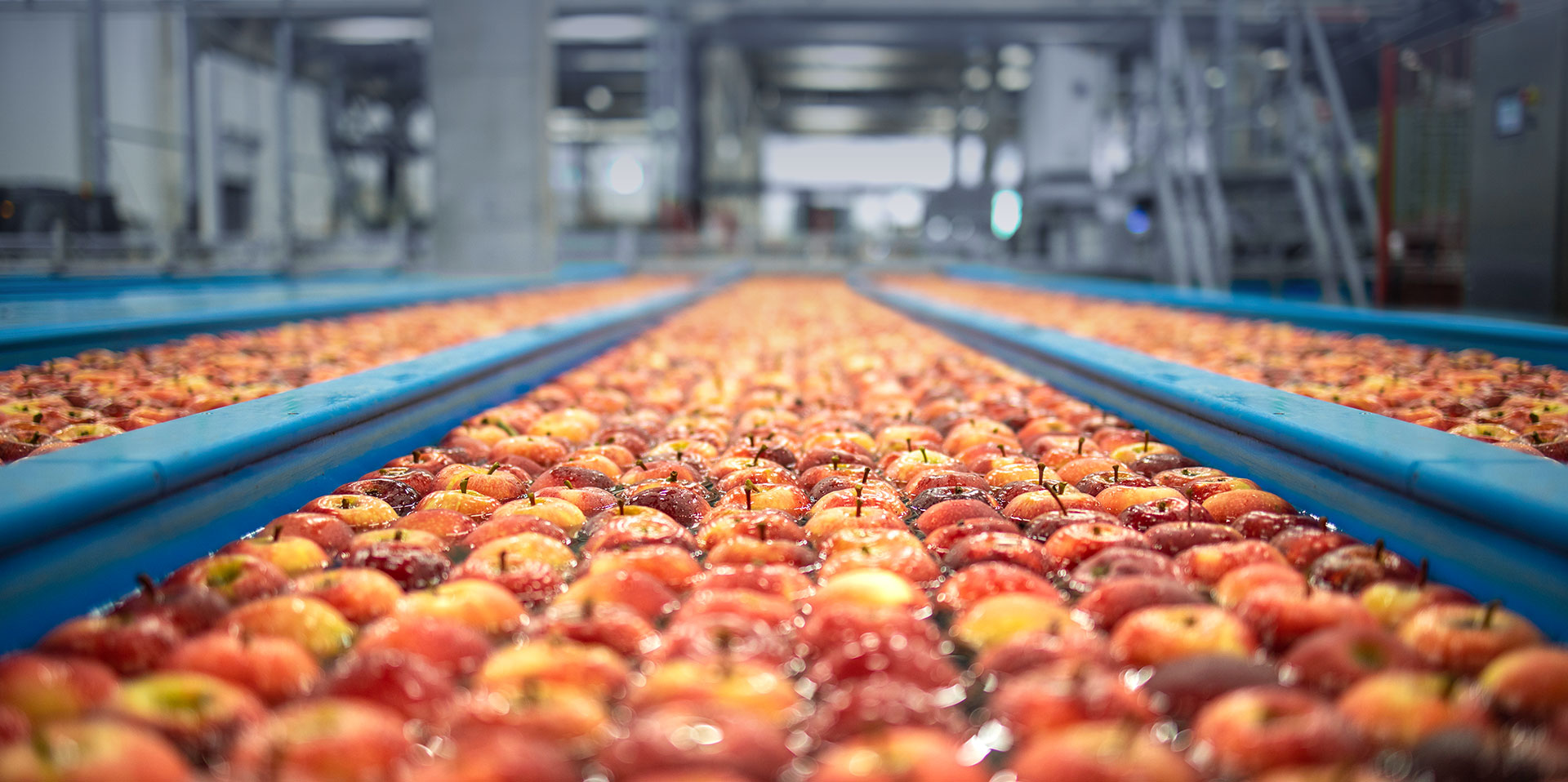 水果蔬菜解決方案