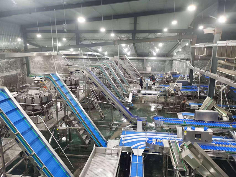 電腦多頭組合秤：食品加工行業(yè)革新之選