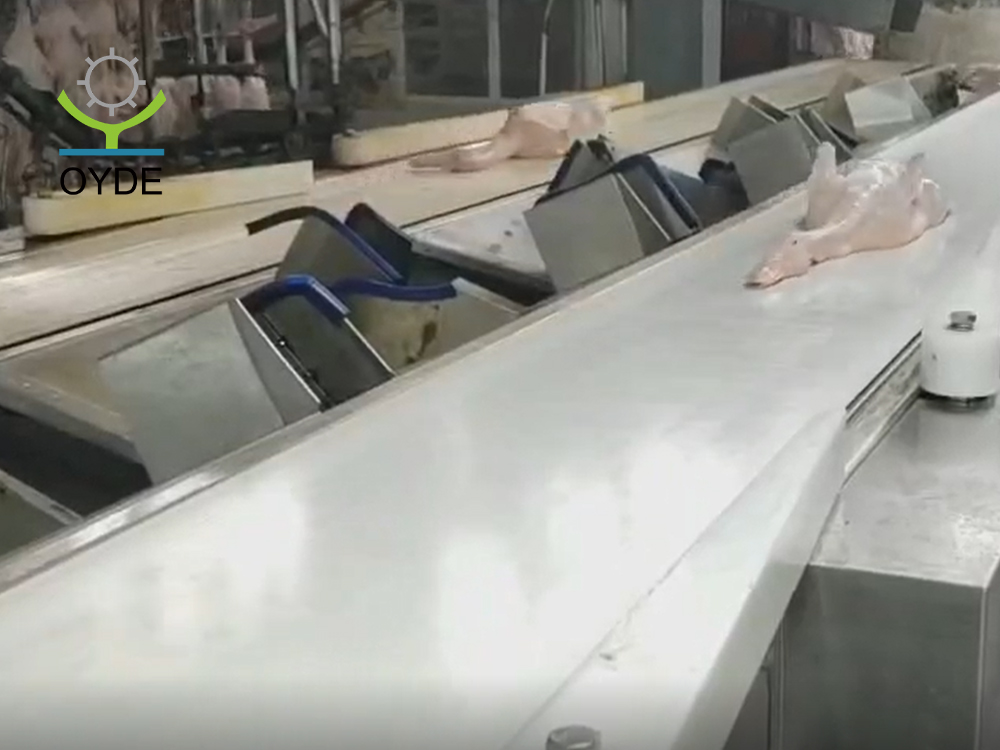 皮帶分級(jí)稱1