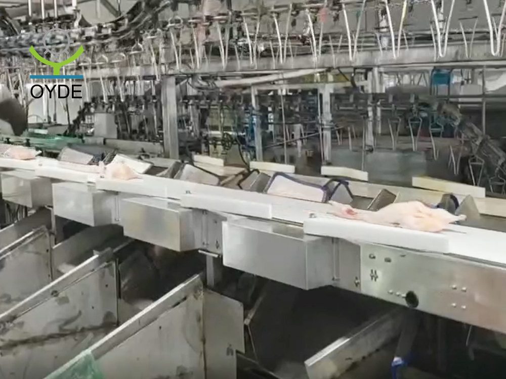 皮帶分級(jí)稱2