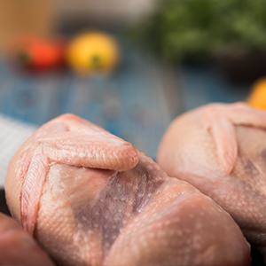 冷凍食品解決方案