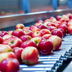 水果蔬菜解決方案